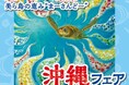 「沖縄フェア」で集まった寄付金566,500円をサンゴ移植の活動へ寄付しました