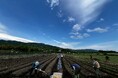 土に触れ、自然と共に生きる。小田原自然栽培農学校、2026年に開校