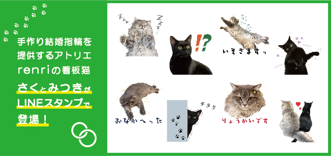 Renriの看板猫 さくとみつき がlineスタンプとなって登場 Renriのプレスリリース