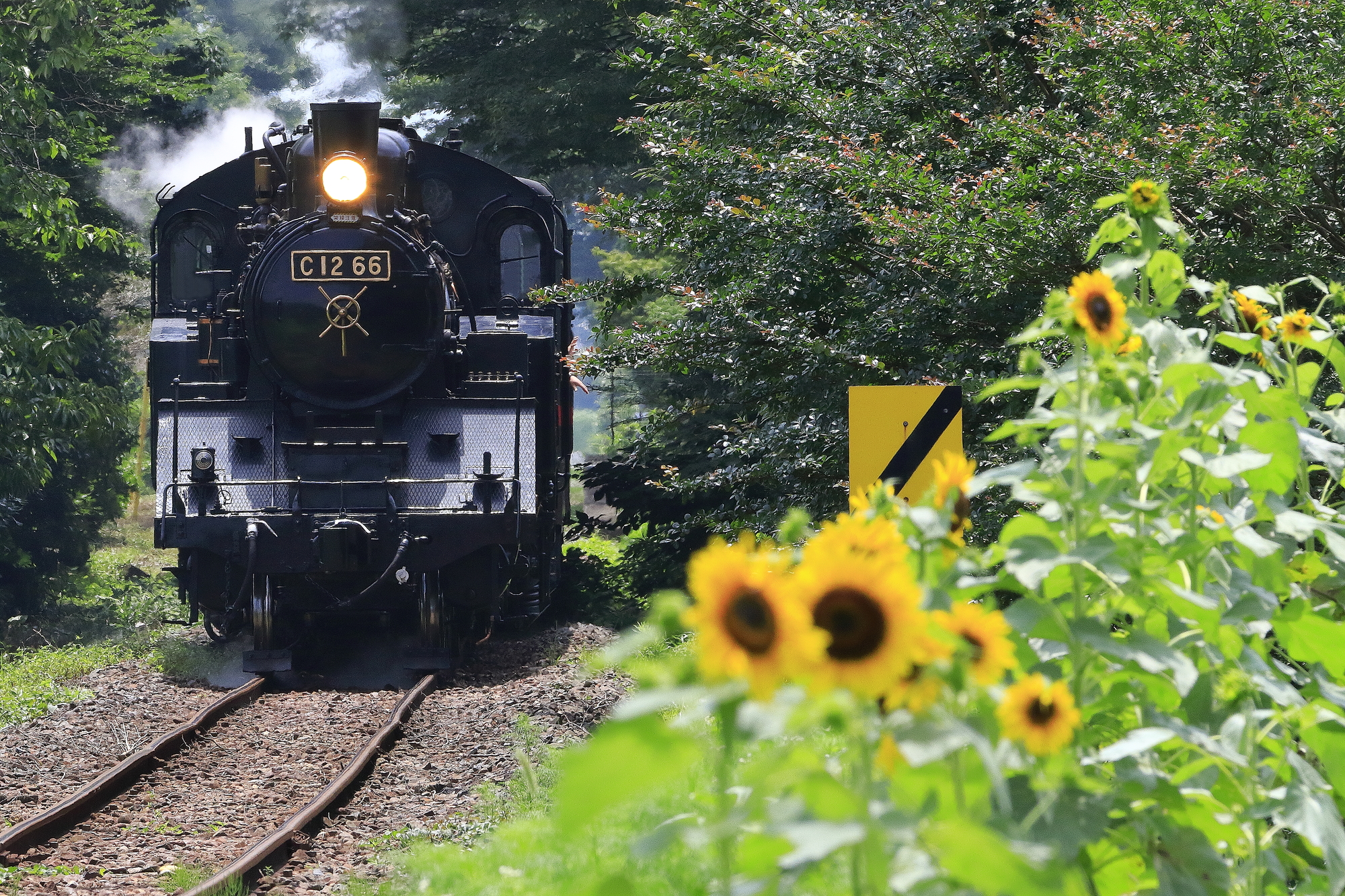 当選者はインスタ・特集で紹介！特集「MATCHA Stories～映える日本鉄道～」で絶景の鉄道写真を大募集！
