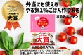 ㊗第11回料理レシピ本大賞 No.1【料理部門】『やる気1%ごはん』と【お菓子部門】『常識やぶりのアイデアおやつ』が大賞を受賞!受賞作全14作品を発表!