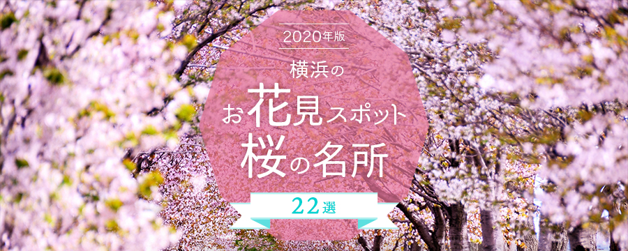横浜市観光情報サイトに「2020年版 横浜のお花見スポット・桜の名所 22選」がオープン！