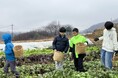 山梨ジュニアアンバサダープログラム2日目！畑から食卓へ。体験を通じて実感する山梨の魅力