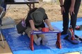 スポーツや食を共に楽しむ、地域と企業が連携したイベントに約340人来場 9月6日、江別市のビレッジハウス野幌で健康共創イベントを開催