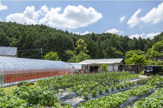 綺麗に整備された畑
