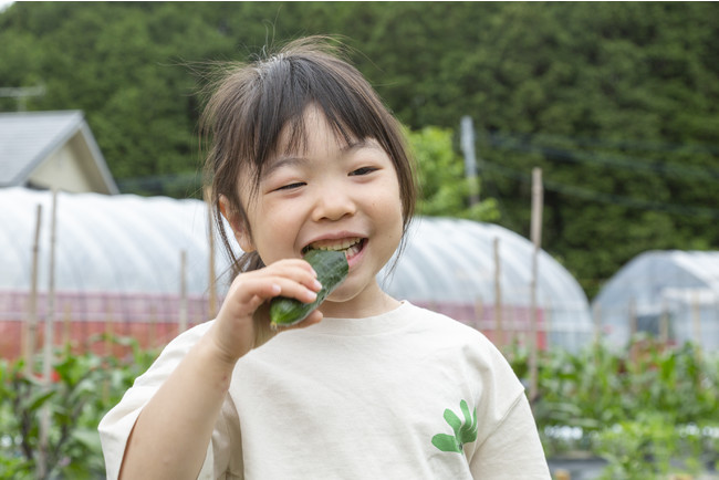 採れたの野菜をがぶり！