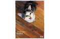 愛猫とのかけがえのない日々を綴った人気絵本『きみがいるから』原画展が開催！7月30日（火）より、熊本市の書店「蔦屋書店熊本三年坂」にて