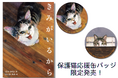 絵本『きみがいるから』保護猫応援缶バッジ限定発売! 三軒茶屋の猫本専門店Cat's Meow Books 保護猫応援イベント 「ぼくになまえをちょうだい~保護猫応援アートマルシェ」にて。