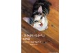 愛猫とのかけがえのない日々を綴った人気絵本『きみがいるから』今年最後の原画展を開催!11月22日(金)より東京都立川市の猫本・グッズ専門店necoya books(ネコヤブックス)にて。