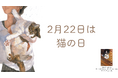 猫さんいつもありがとう! 2月22日「猫の日」に朝日新聞に掲載。「うちの子にそっくり」と発売当初から話題。保護猫との出会いと、愛しい日々を描いた人気絵本『きみがいるから』。
