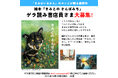猫好きさんからの共感を呼び、発売後即重版した人気絵本『きみがいるから』のコンビが描く、愛犬とのいとおしい日々。絵本『きみとの さんぽみち』10月3日発売決定!