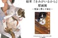 広島の猫好きさんたち集まれ!「本屋さんで目があって思わず手に取った」との声多数。愛猫とのかけがえのない日々を綴った人気絵本『きみがいるから』。8月26日より広島 蔦屋書店にて原画展開催決定!