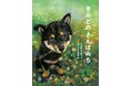 柴犬好きさん必見!「うちの子といっしょだ!」「そうそう、こんな顔する!」と共感の声続々。愛犬とのかけがえのない日々を描いた絵本『きみとの さんぽみち』が10月3日発売。