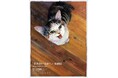 愛知の猫好きさんたち集まれ!「本屋さんで目があって思わず手に取った」との声多数。愛猫とのかけがえのない日々を綴った人気絵本『きみがいるから』。10月1日より本の王国 豊川店にて原画展開催決定!