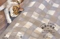 猫好きさん名古屋に集まれ！ 　愛猫とのかけがえのない日々を綴った人気絵本『きみがいるから』。２月１日より名古屋市のセレクト本屋「Reading Mug（リーディングマグ）」で原画展開催決定！