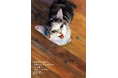 保護猫、愛犬との暮らしを瑞々しく描いた絵本『きみがいるから』『きみとの さんぽみち』パネル展を、カフェド武で期間限定開催！かわいい犬・猫のラテアートも登場！