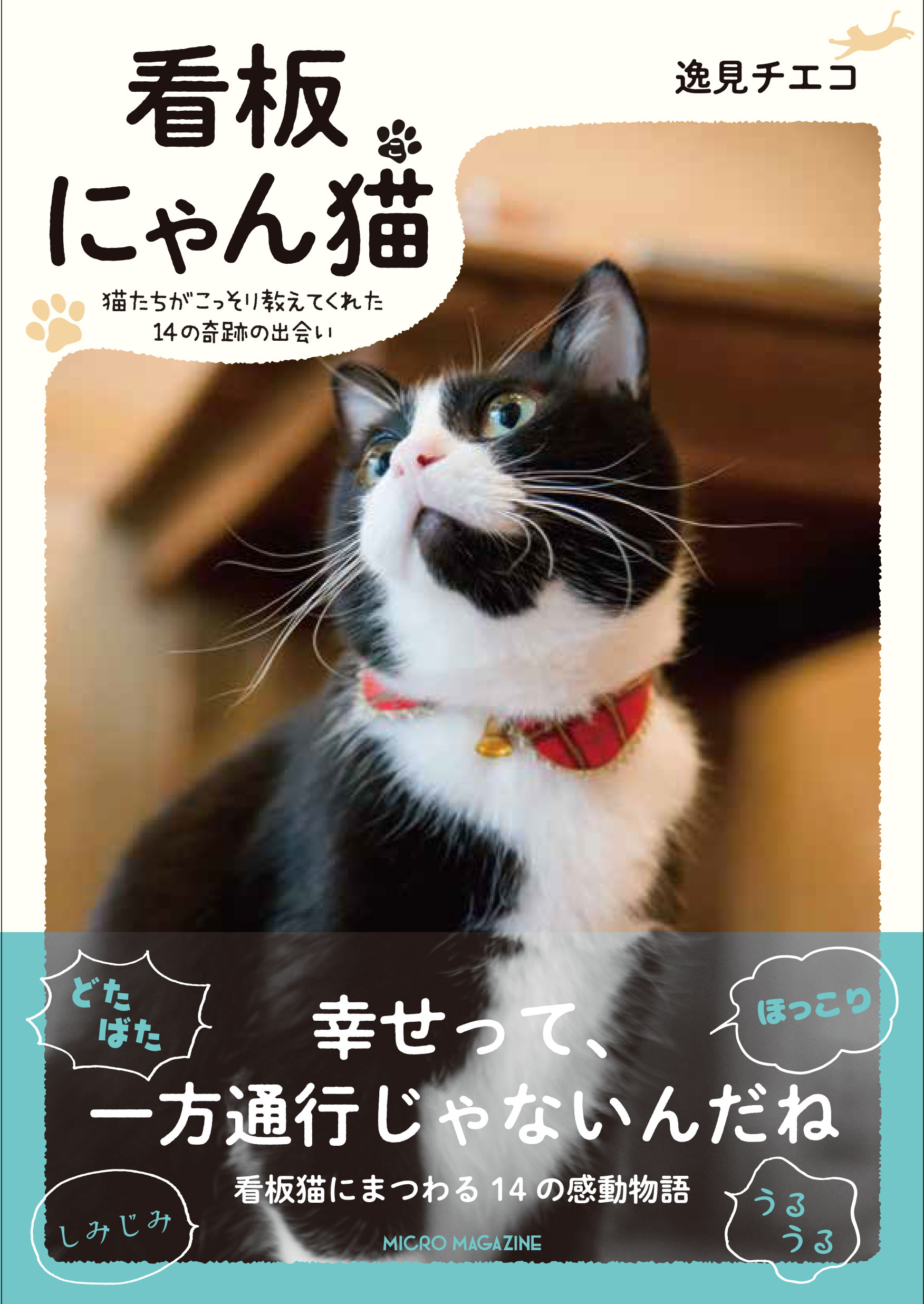 愛する人 との繋がりを猫の視点で綴った心温まるフォト ブック 看板にゃん猫 10月18日発売 株式会社マイクロマガジン社のプレスリリース