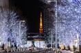 東京冬の風物詩・400mに渡り輝く「けやき坂イルミネーション」が点灯!『Roppongi Hills Christmas 2024』開催