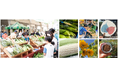 “夏先取り”イベント!産地直送の新鮮な朝採れ夏野菜がそろう「トウモロコシ&枝豆フェスティバル」開催