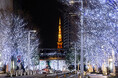 東京冬の風物詩・400mに渡り輝く「けやき坂イルミネーション」が点灯!『Roppongi Hills Christmas 2025』開催