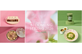 お花や新緑を感じる春らしい“ピンク“と”グリーン”がキーカラー「BLOOMING SPRING 2026 〜咲き誇るPINKと芽吹きのGREEN〜」を開催