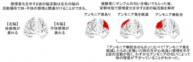 図②　脳の感情変化を示すβ波
