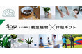 アンドプランツの「観葉植物」とソウ・エクスペリエンスの「体験ギフト」がセットになった新商品を8月5日（月）より発売！