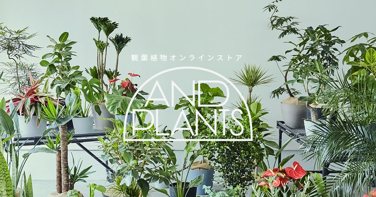 観葉植物D2Cブランド「AND PLANTS」が、手のひらサイズのテーブル