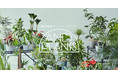 観葉植物D2Cブランド「AND PLANTS」が、手のひらサイズのテーブルプランツを販売開始