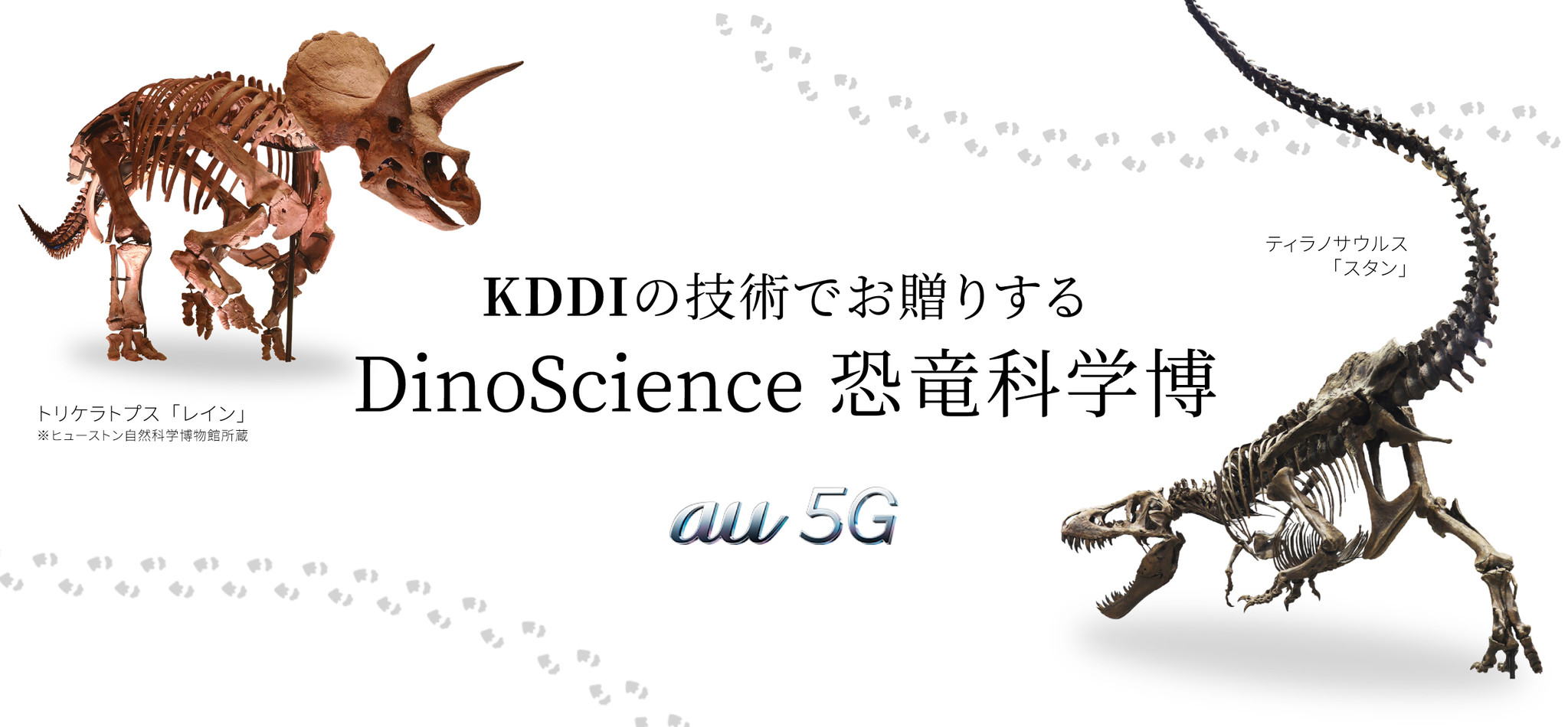 Dinoscience 恐竜科学博 をさらに楽しむ ふしぎなメガネと恐竜ムービーby Au 5g が開催 日本初上陸の レイン スタン を最新技術によって 大迫力のcgで再現 Kddi株式会社のプレスリリース