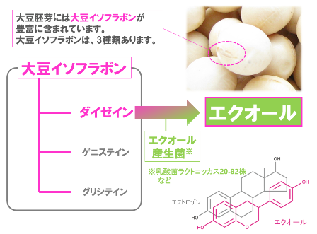 毛髪の悩みとエクオール産生能の関係についての論文を発表 大塚製薬株式会社のプレスリリース