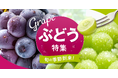 ぶどう・シャインマスカットを集めた特集ページを公開。生産者自慢の「粒揃い」のぶどうで至福のひとときを。