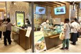 熊本県錦町の緑茶と米を使ったスイーツ等を博多マルイでテスト販売。購入者の約80%が「錦町に興味を持った」と回答。