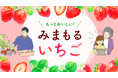 “育てるところ”から予約できる!?「もっとおいしい!みまもるいちご」12月6日(月)から期間限定で販売を開始