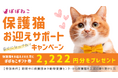 「幸せになってね!保護猫お迎えサポートキャンペーン」を開催