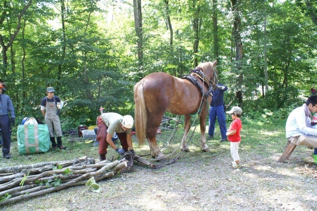 馬が重い物を運んでくれます