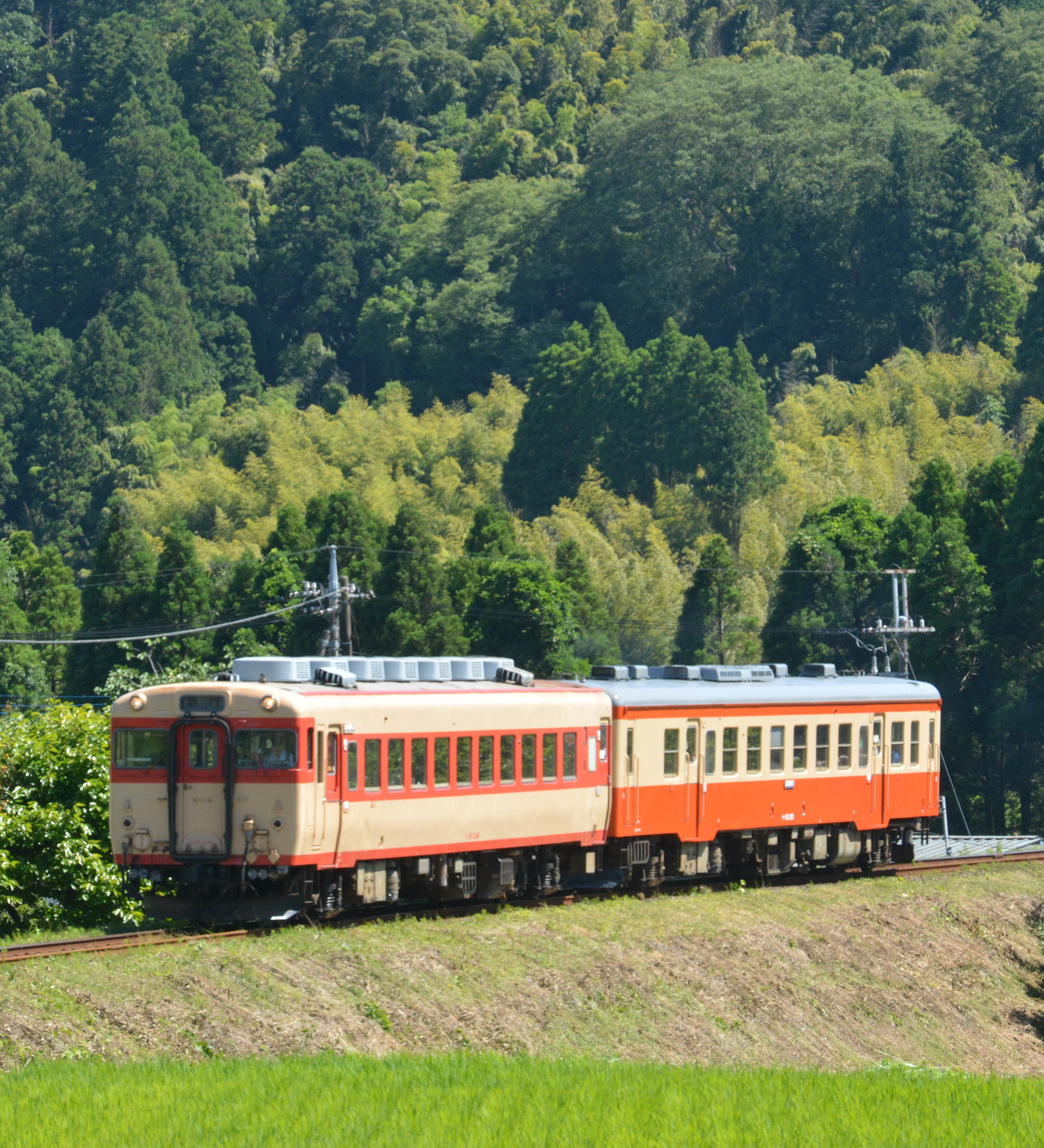 日本旅行 いすみ鉄道 観光列車で 復興支援 日本酒きき酒師乗車の いすみ酒bar 列車が運行再開 株式会社 日本旅行のプレスリリース