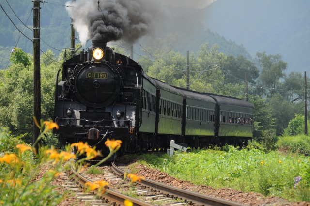 日本旅行 特別体験で巡る 大井川鐵道探求の旅 発売