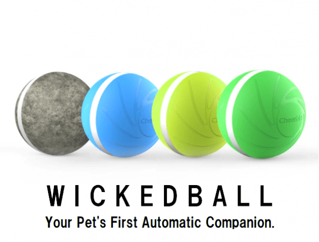 飼い主がいなくても自動でペットの遊び相手になるペットトイ Wicked Ball ウィキッドボール クラウドファンディングを開始 株式会社コズミックコミュニケーションズのプレスリリース