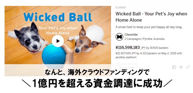 飼い主がいなくても自動でペットの遊び相手になるペットトイ Wicked Ball ウィキッドボール クラウドファンディングを開始 株式会社コズミックコミュニケーションズのプレスリリース