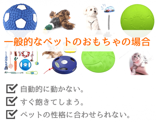 【サイクロン】ウィキッドボール 　日本語説明書付き　ペット　留守番　おもちゃ