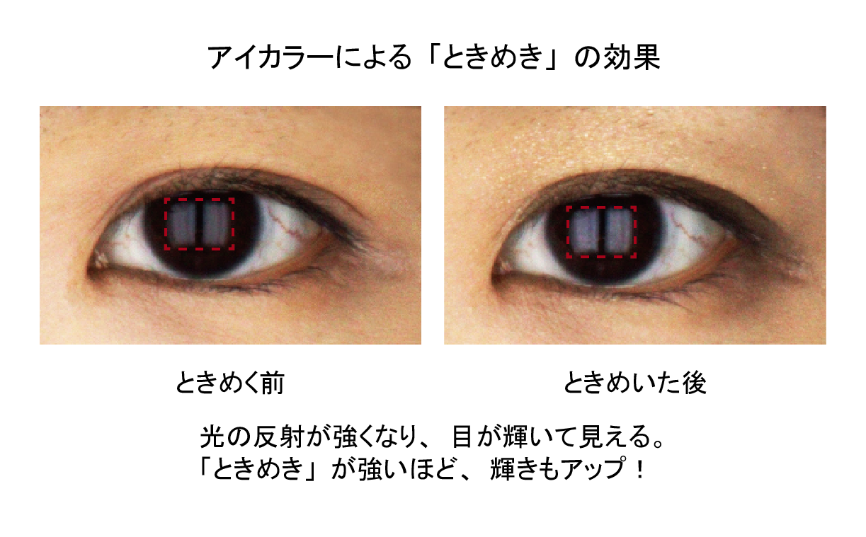 ときめくと目が輝く を実証 アイカラーがもたらす ときめき の秘密 日本メナード化粧品株式会社のプレスリリース