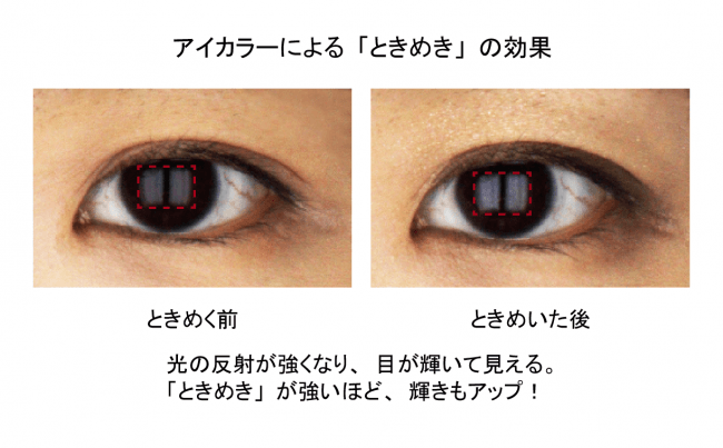 瞳がハート形になっているムツゴロウの目玉。理由はよく分かっていないという 写真｜【西日本新聞me】