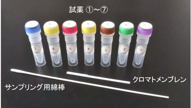 図2　皮膚常在菌検出キット内容