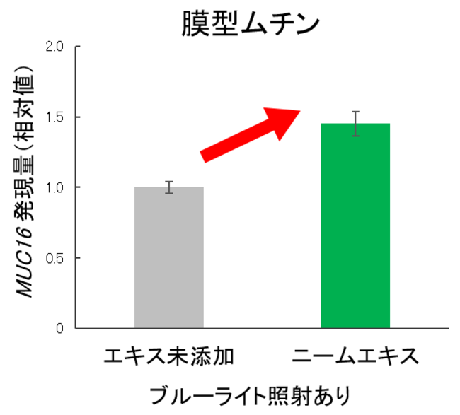 ニームエキスの膜型ムチン産生促進効果 ニームエキスの膜型ムチン産生促進効果