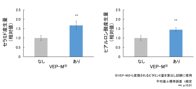 図3　VEP-Mによるセラミドおよびヒアルロン酸産生促進効果
