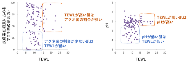 図2　TEWLとアクネ菌の割合、pHの関係