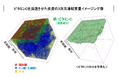 皮膚内部に浸透した成分を生体に近い状態で立体的に可視化する世界初の技術を開発