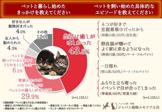 愛するペットと 後悔 のない最期 を過ごしたい 8割近くのインターネットユーザーは情報の判断に困り 時として大切なペットに大きな負担をかけることも 信頼のおける情報やサービスの基準とは 株式会社jdmのプレスリリース