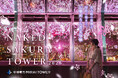 【中部電力 MIRAI TOWER】名古屋の夜景×桜のアートを楽しむ、幻想的な夜のお花見体験